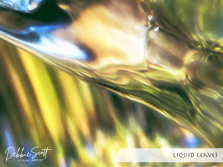 Liquid Leaves